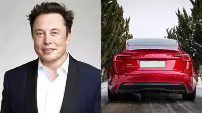 Tesla Investor Ross Gerber Demands Elon Musk's Ouster as CEO: Why